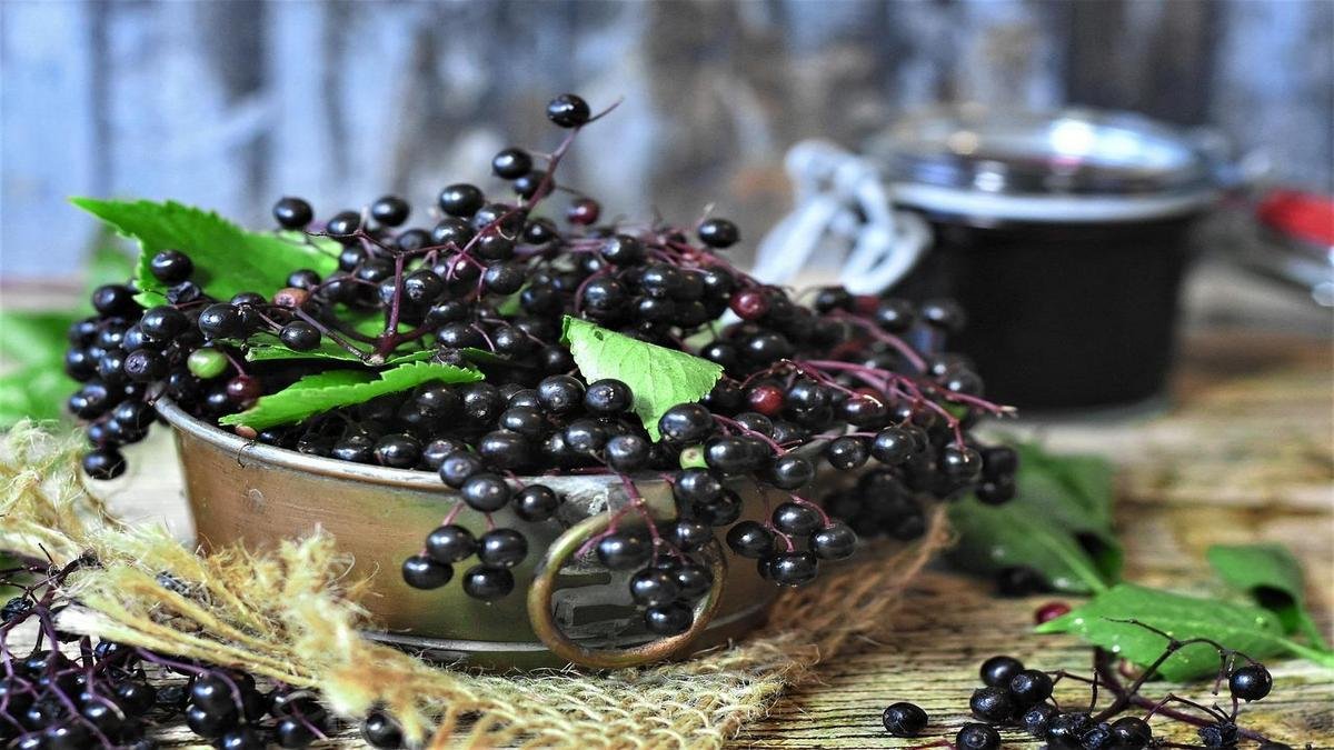 Mitos sobre Sucos Naturais e a Saúde Digestiva Mitos sobre Sucos Naturais e a Saúde Digestiva
