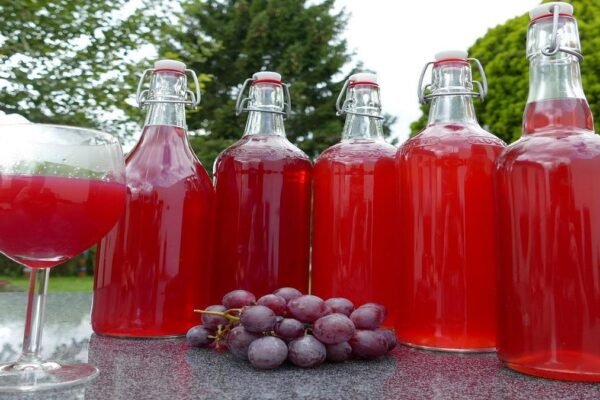 o-suco-de-uva-e-mais-velho-que-o-vinho-a-lenda