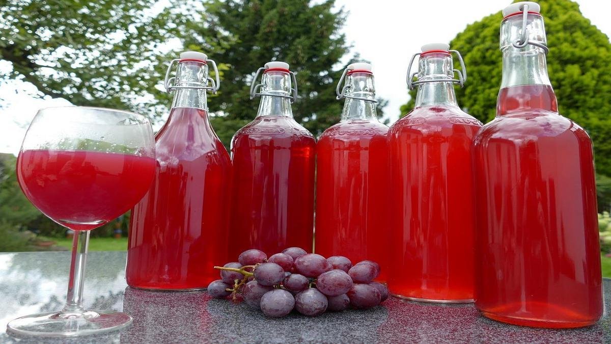 o-suco-de-uva-e-mais-velho-que-o-vinho-a-lenda