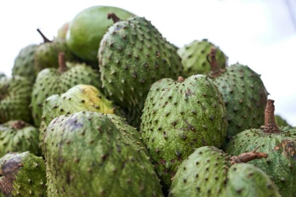 Suco de Graviola Natural