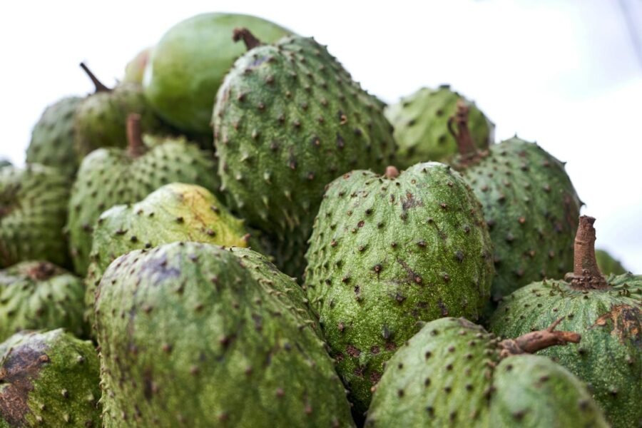 Suco de Graviola Natural