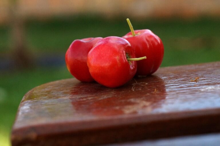 acerola, fruit, vitamin, acerola, acerola, acerola, acerola, acerola
