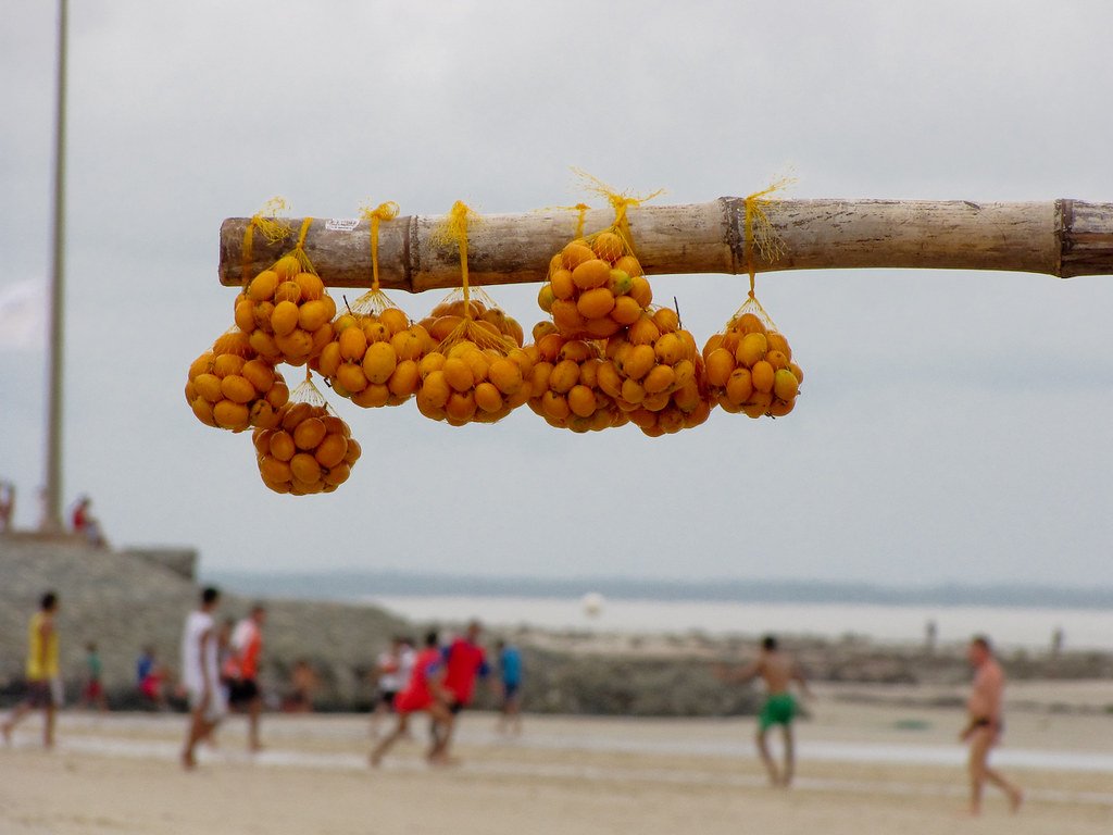 Receita de Suco de Cajá