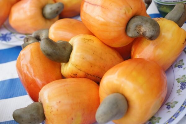Receita de Suco de Caju Caseiro Simples e Natural