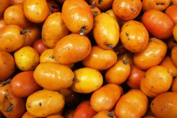 Como Fazer Suco de Seriguela Natural e Refrescante
