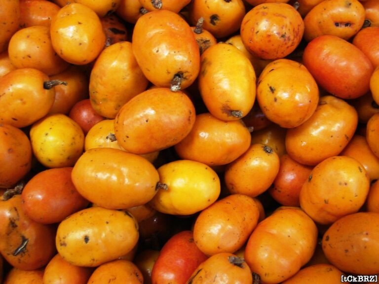 Como Fazer Suco de Seriguela Natural e Refrescante