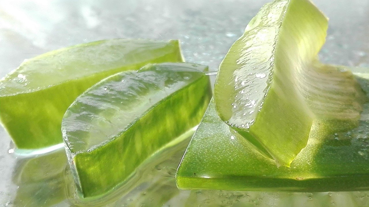 Para Que Serve Suco de Aloe Vera? Benefícios e Como Fazer