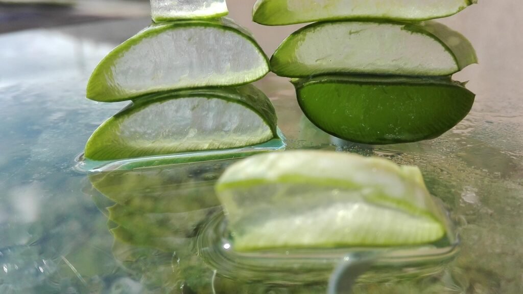 Suco de Aloe Vera? Benefícios e Como Fazer