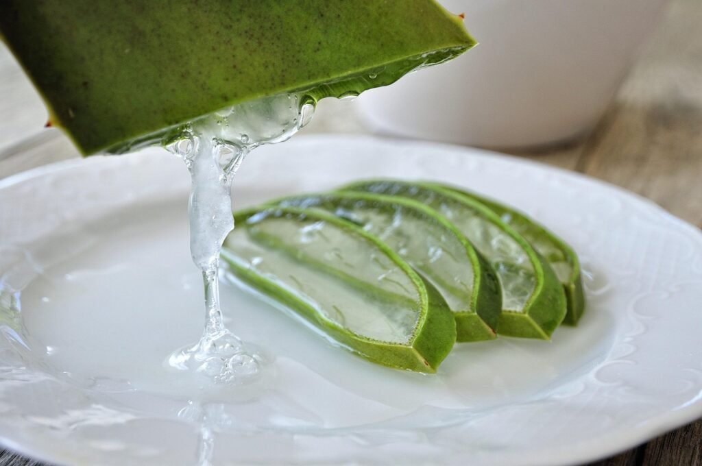 Para Que Serve Suco de Aloe Vera?